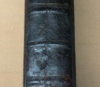 Repaired-spine