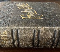 Spine-front-cover