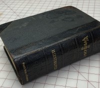Back and spine