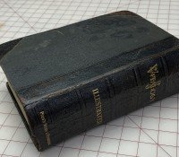 Back and spine