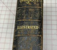Spine